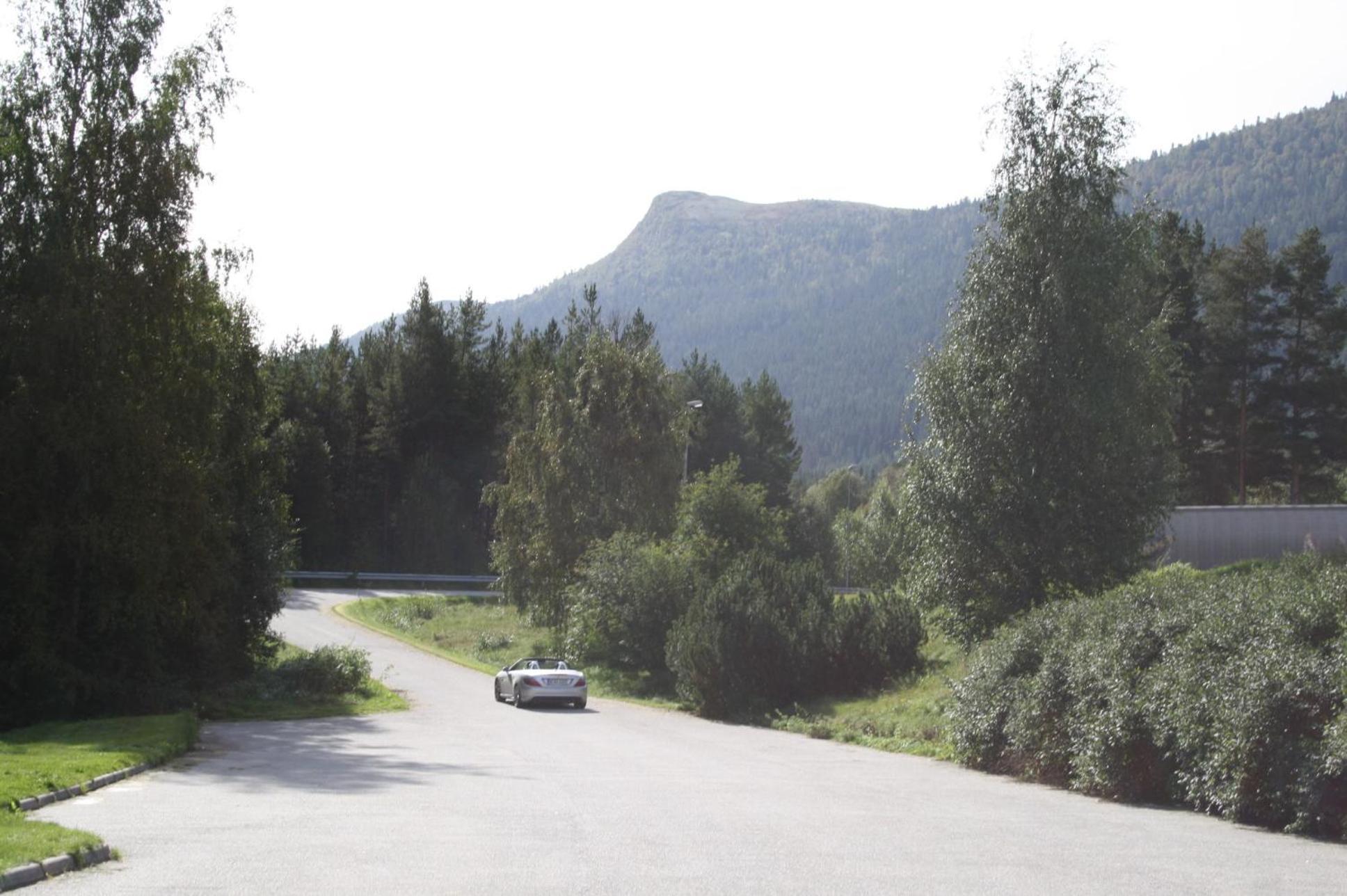 Dovreskogen Gjestegard As Esterno foto